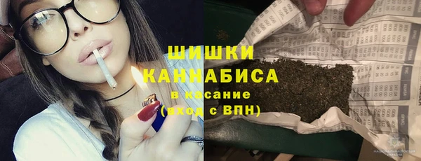 2c-b Заводоуковск